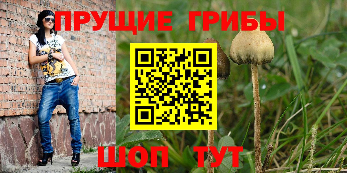 Галлюциногенные грибы мицелий  Вход с VPN  Галлюциногенные грибы мухоморы  Новотроицк 