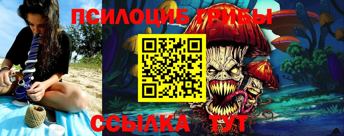 Псилоцибиновые грибы мицелий Новотроицк